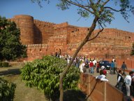 IMG_7389.jpg