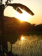 IMG_8363.jpg