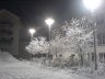 DSC00477.JPG