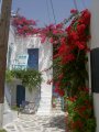 PICT0528.JPG